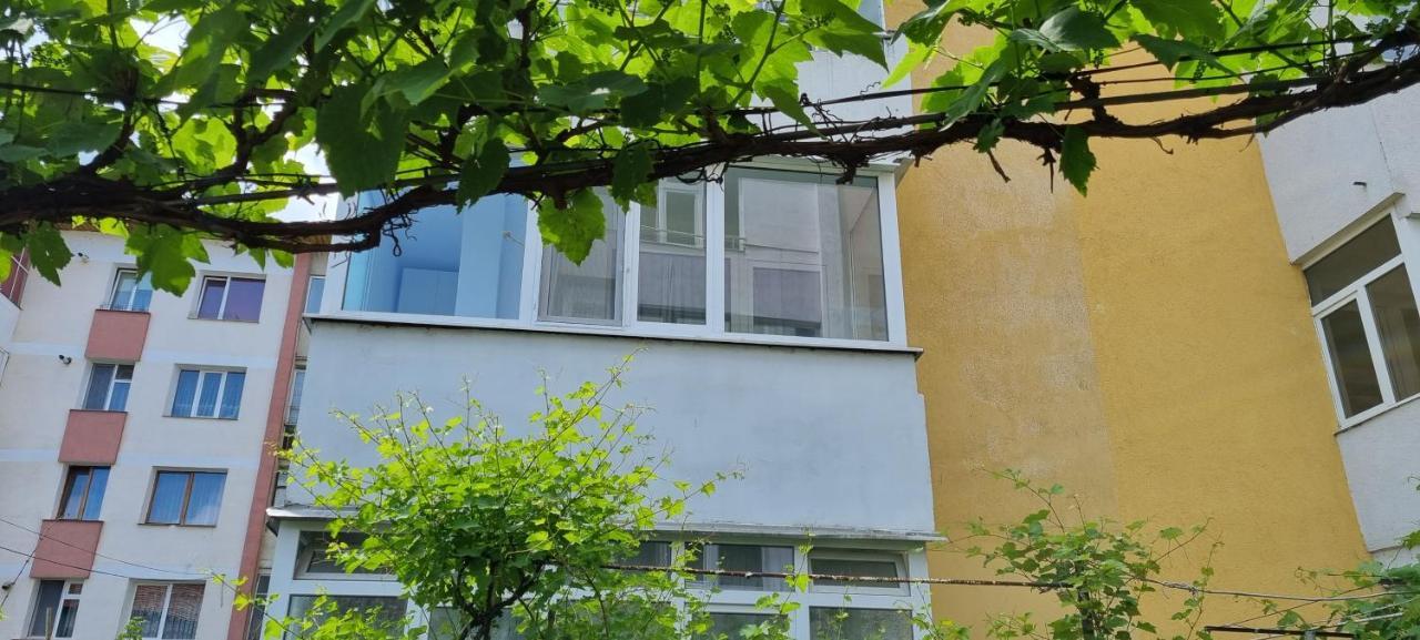 Yla Apartments Piatra Neamţ Eksteriør billede